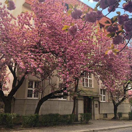 Апарт-Отель "Галаговъ" Uzjhorod Eksteriør bilde